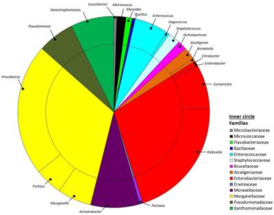 Hydrolytic Profile of the Culturable Gut Bacterial Community Associated With Hermetia illucens